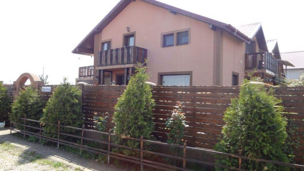 Vila Domnesti            