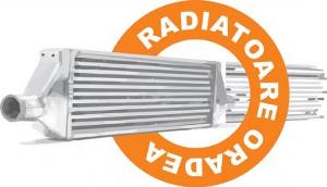 Radiator incalzire