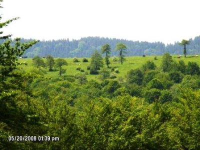 92000 mp Campulung Muscel, intravilan, proiecte