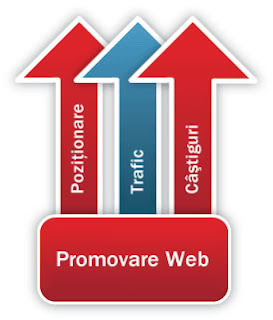 Promovare online si optimizare seo
