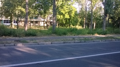 Vanzare teren intravilan Venus, Constanta