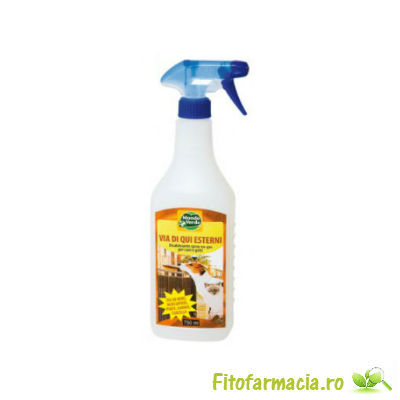   solutia REP 02