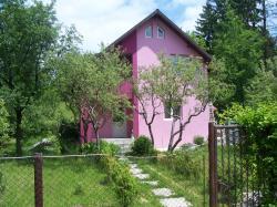 DE VANZARE, Casa de vacanta, Oras Pucioasa (la 90km de Bucuresti)
