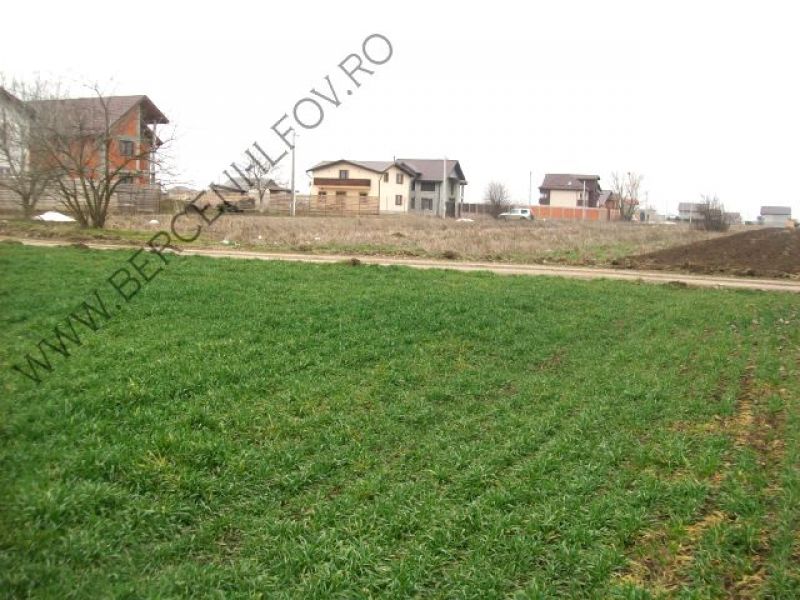 Ilfov Comuna Berceni,Proprietar vand teren de casa