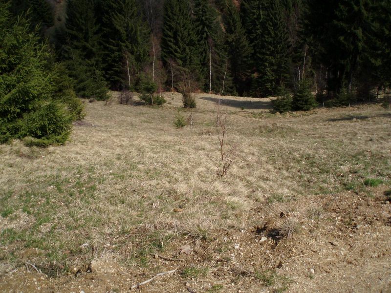 Teren de vanzare
