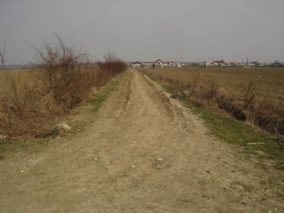 VAND TEREN 26200 MP IN PUCHIENI MOSNENI,PRAHOVA