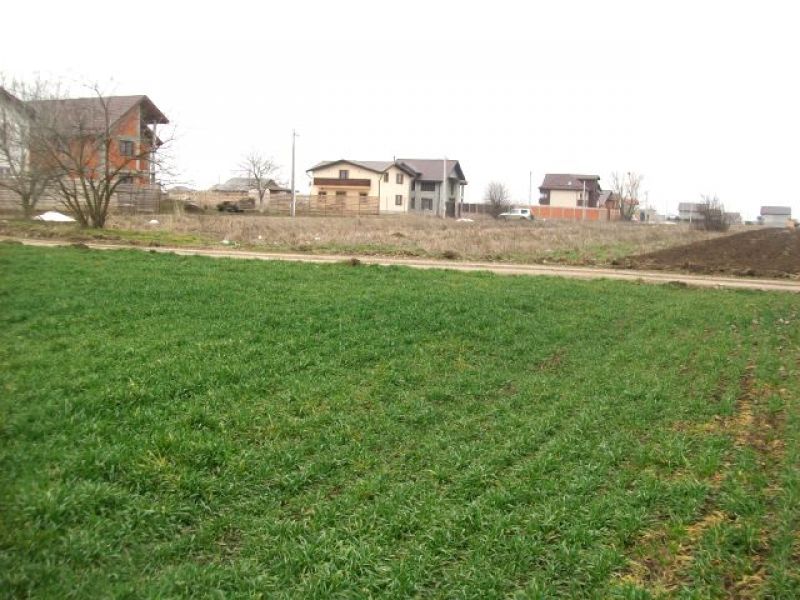 Lot de teren 466mp utili, vand in ComBerceni Ilfov