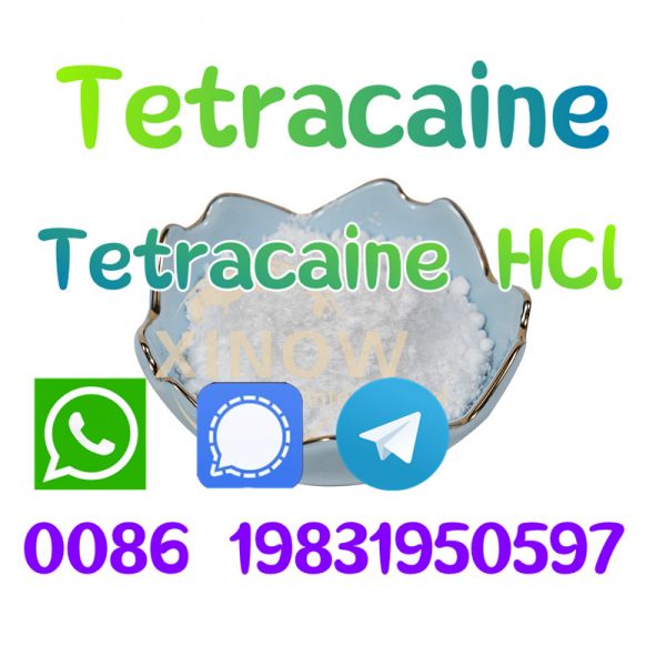Buy tetracaine hcl tetracaine hcl powder supplier cas 94-24-6