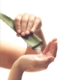 ALOE VERA-O VIATA SANATOASA