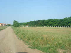 Teren Padure Baneasa