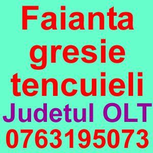 Faianta, gresie, tencuieli, sarpante, zugraveli, zidarie