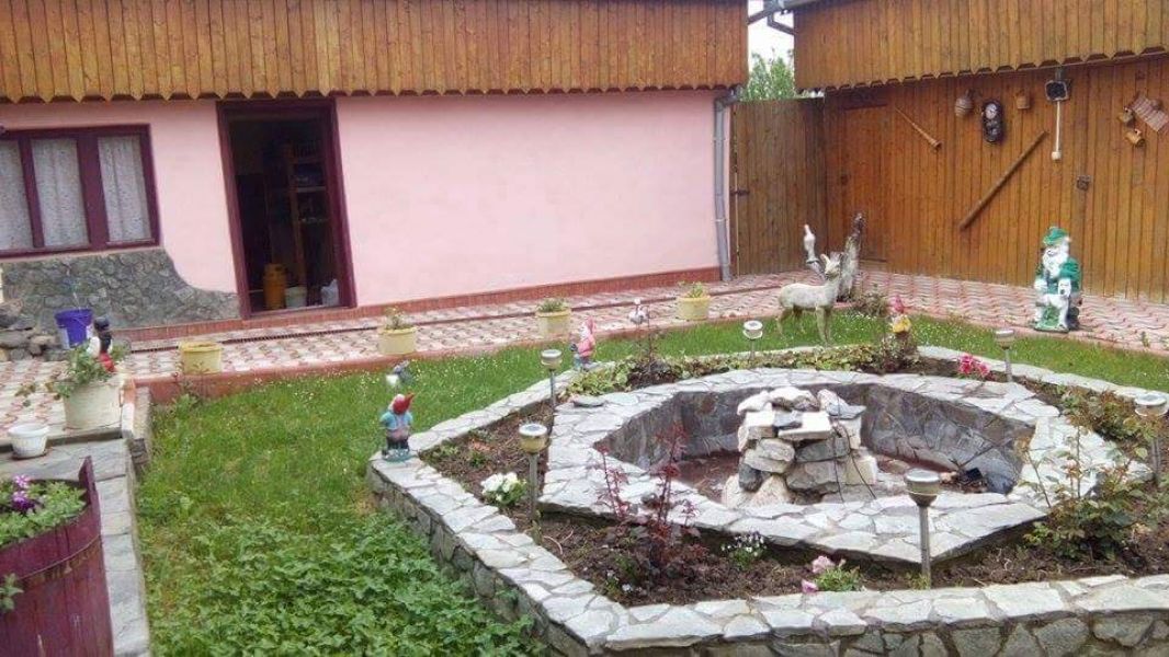 Vanzare casa 5 camere - Balint, Timis