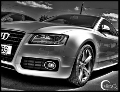 Service auto Volkswagen-Audi