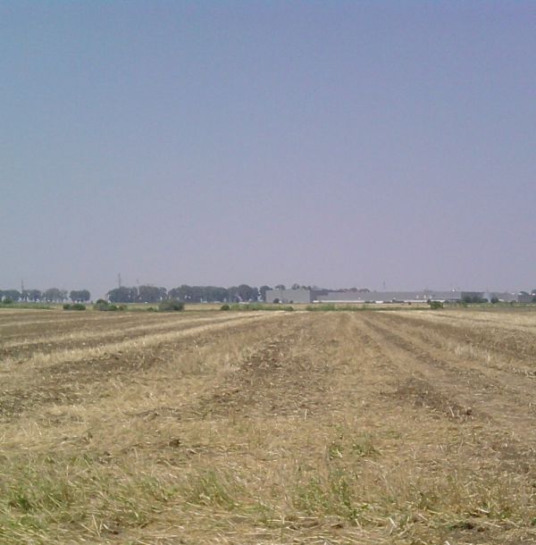 Teren Brăila, Zona Centură - 45.026 mp