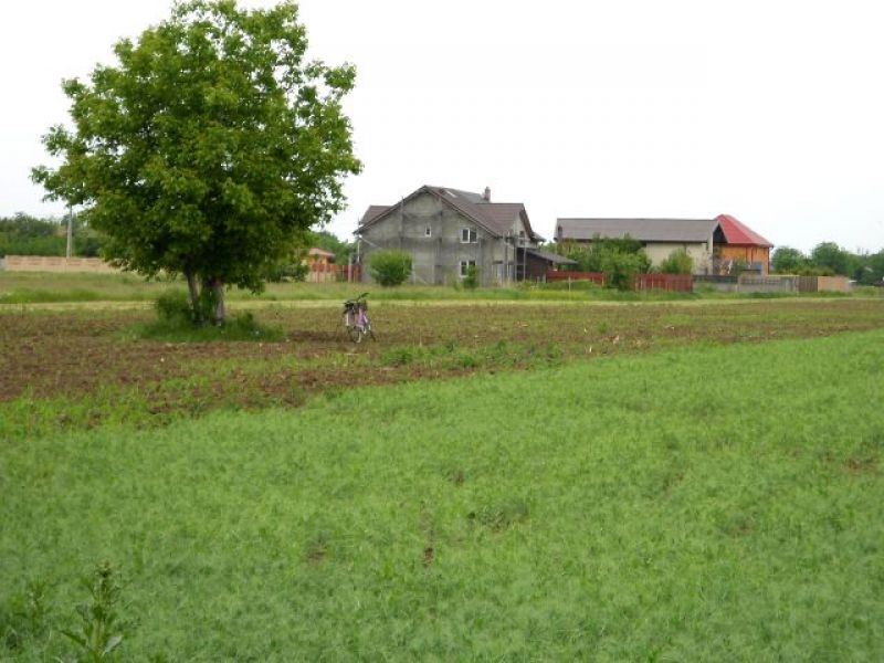Loturi de casa vand, teren in ComBerceni Ilfov