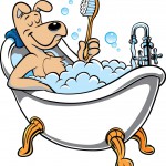 CURS COSMETICA CANINA , TOALETAJ CANIN , CURS COAFOR CANIN