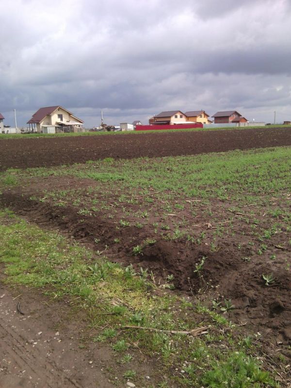 Loturi Comuna Berceni 320 Mp
