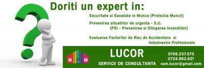 Protectia Muncii-PSI