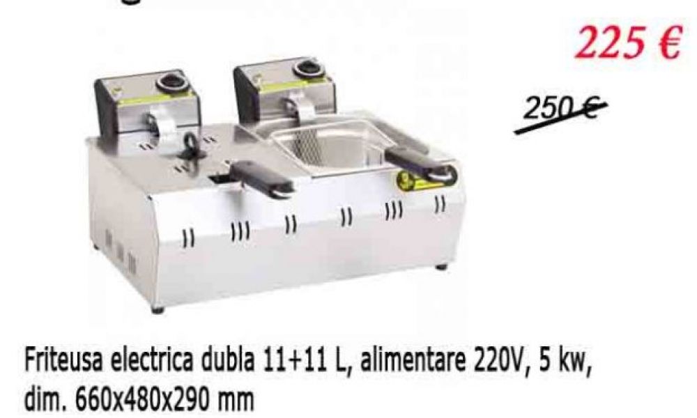 Friteuza electrica 2x 11 Litri de banc