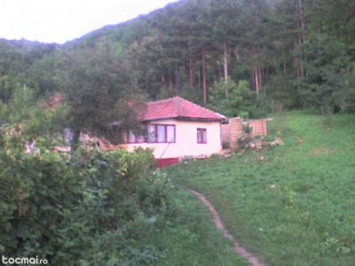 casa vanzare jud buzau sat niculesti