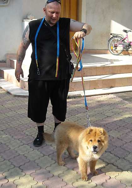 Cel mai ieftin si mai bun dresaj canin!