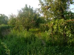 DE VANZARE TEREN INTRAVILAN, ZONA COMUNA MANOLACHE
