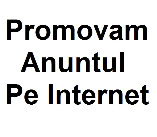 Promovare Anunturi pe Internet