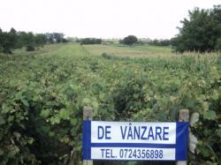 DE VANZARE teren intravilan, comuna Gradistea