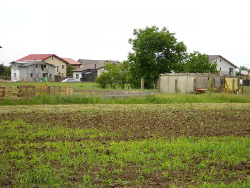 Loturi de teren vand in Comuna Berceni Ilfov