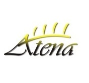 Asistente medicale in strainatate