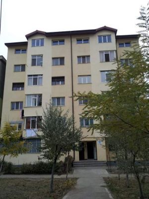 Vanzare apartament 2 camere decomandate mobilate