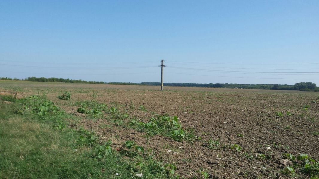 PROPRIETAR Teren buftea crevedia titi aur constructii sosea parcelabil 