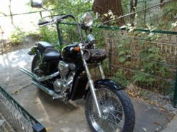 chopper honda shadow