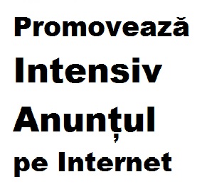 Promoveaza Intensiv Anuntul pe Internet