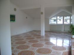 DE INCHIRIAT VILA S+P+1+M ZONA BABA NOVAC