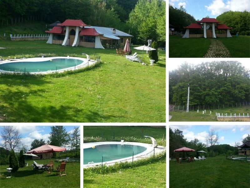 Vand Domeniul Ursoaia de 16500 mp, 2x case, 2x piscine, padure
