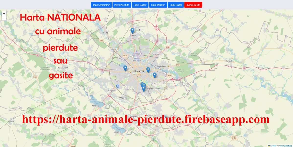 Animale pierdute si animale gasite - harta nationala cu localizarea acestora