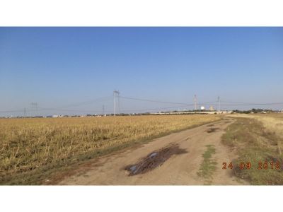 DE VANZARE, Teren intravilan Domnesti, in spatele statiei electrice, suprafata 49.000mp