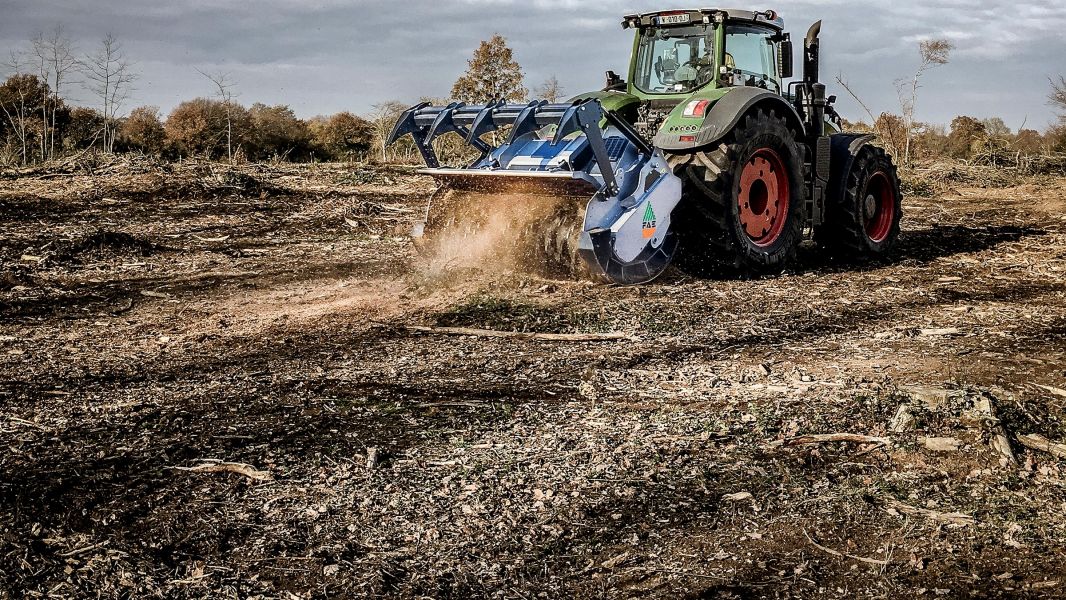 Servicii defrisare, toaletare si curatare   