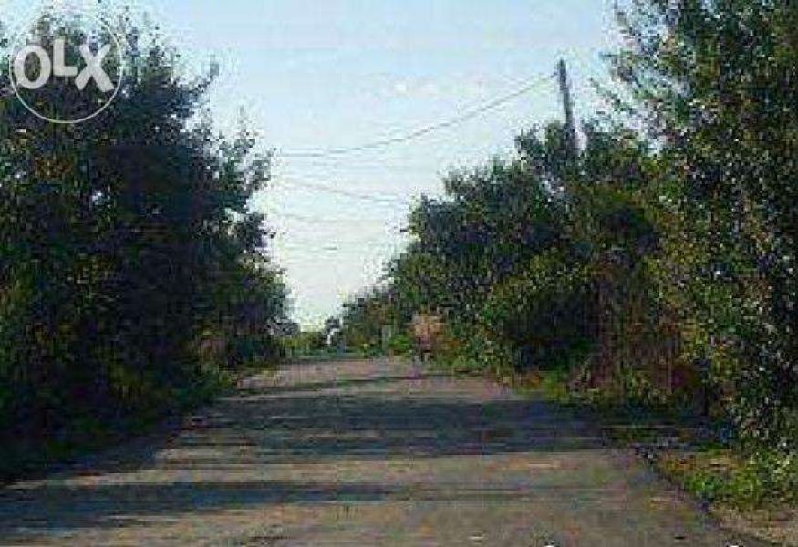 Teren Intravilan Loturi C-tii Destinatie Mixta Localitatea Copaceni Ilfov