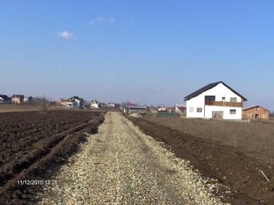 Vand lot de casa Com Berceni 500mp la 20 euro/mp