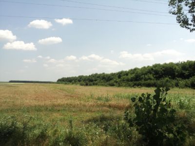 teren de vanzare petrachioaia