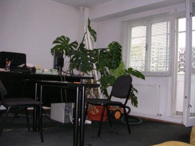 Tineretului - APARTAMENT IN BLOC - 3 CAMERE