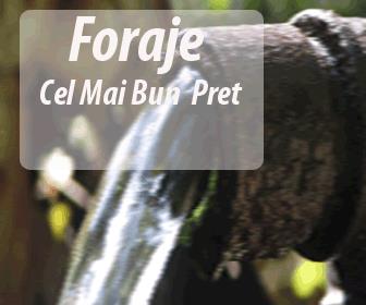 Foraje puturi si denisipari, cel mai bun pret