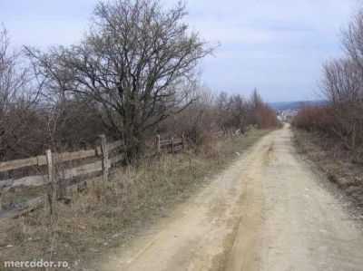 Teren (livada) 2500m2, Cisnadie, front al strada!