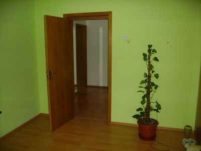 Vila, Aparatorii Patriei