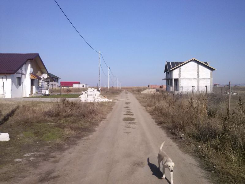 Terenuri intravilane,comuna Berceni
