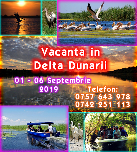 Delta Dunarii 01-06 Septembrie 2019 natura, liniste, distractie