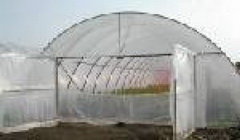 Vind solarii pt legume si flori import ungaria