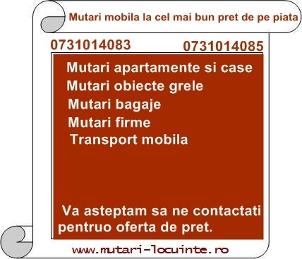 Relocari diverse si transport
